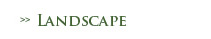 Landscaping Gallery